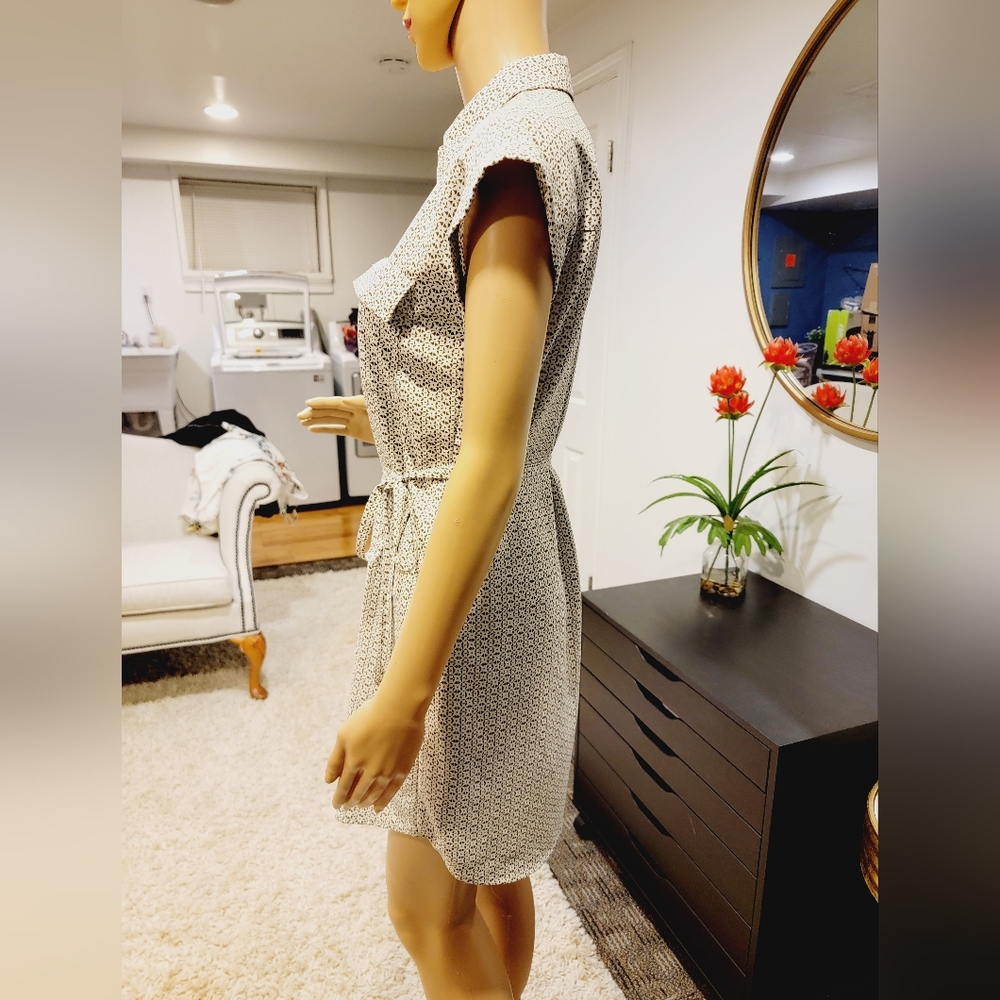 Express Dress - Picture 3 of 4